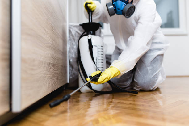 Best Exterminator Services  in Brookland, AR