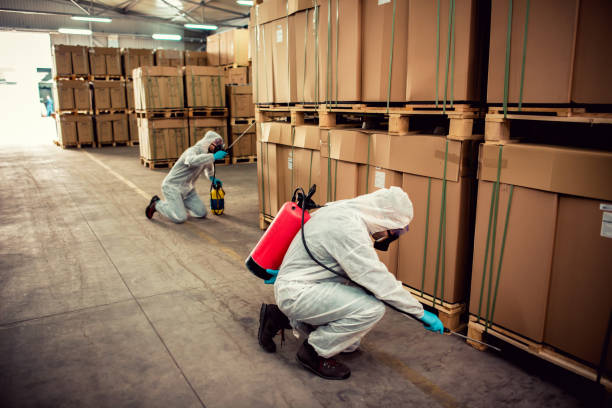 Best Wildlife Control Services  in Brookland, AR