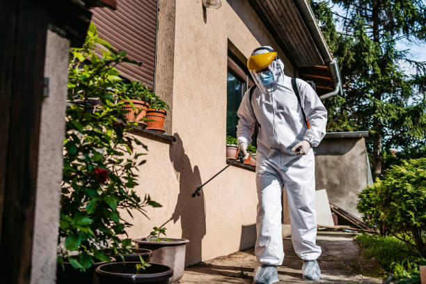Best Rat Extermination Near Me  in Brookland, AR