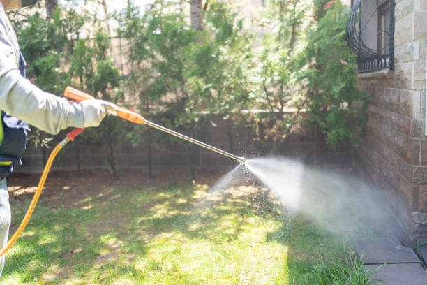 Best Affordable Pest Control Services  in Brookland, AR
