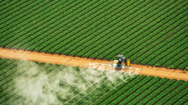 Professional Pest Control in Brookland, AR
