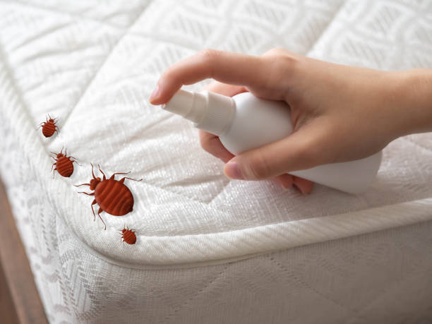 Best Emergency Pest Control  in Brookland, AR