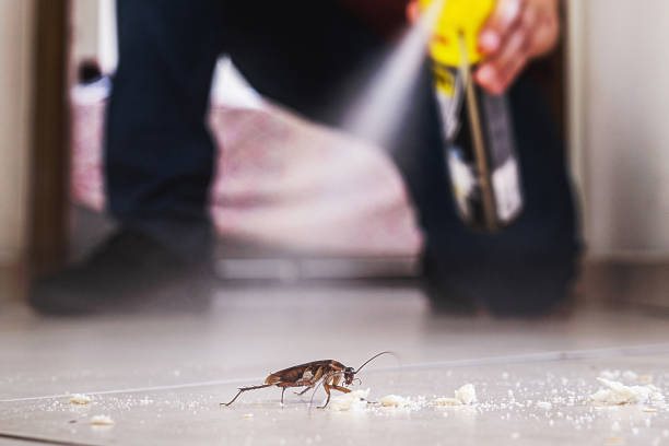 Best Pest Control Cost  in Brookland, AR